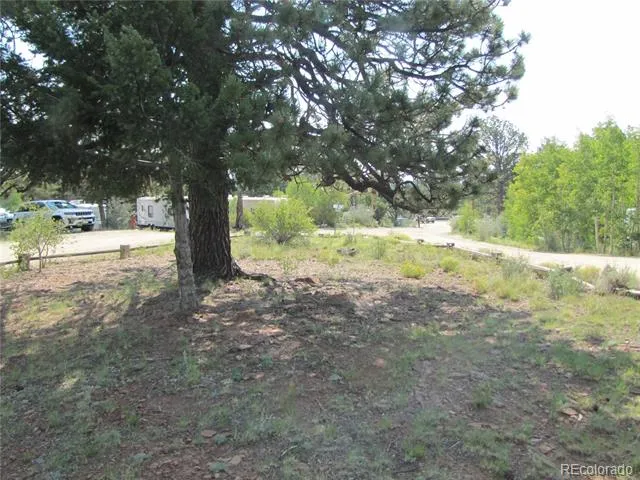 594 Lantern Loop Hartsel, CO 80449