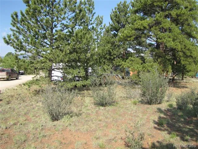 594 Lantern Loop Hartsel, CO 80449