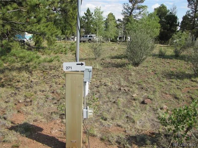 594 Lantern Loop Hartsel, CO 80449