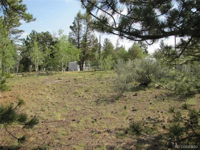 594 Lantern Loop Hartsel, CO 80449