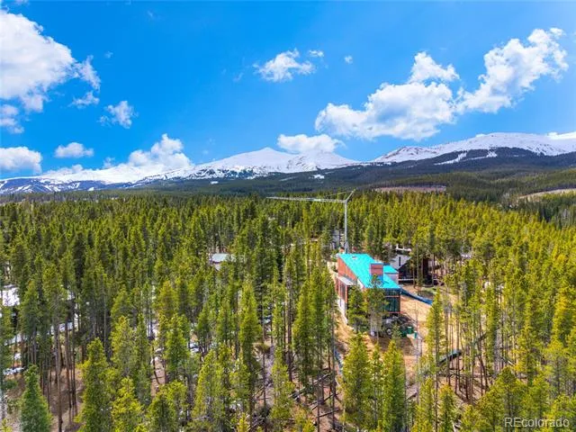 96 Tin Cup Circle Breckenridge, CO 80424