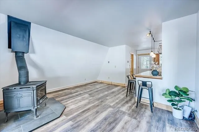 796 Valley Of The Sun Drive Fairplay, CO 80440