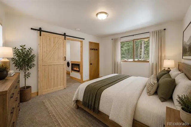796 Valley Of The Sun Drive Fairplay, CO 80440