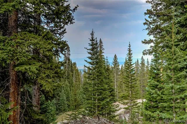 796 Valley Of The Sun Drive Fairplay, CO 80440
