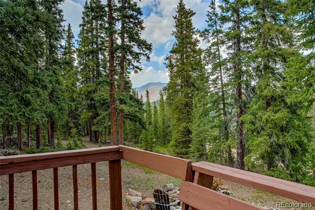 796 Valley Of The Sun Drive Fairplay, CO 80440