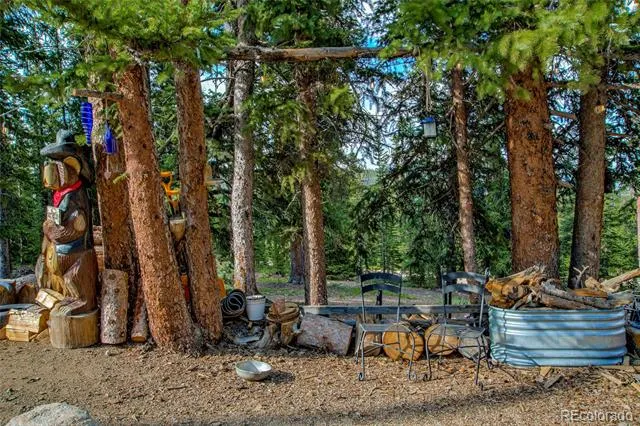 796 Valley Of The Sun Drive Fairplay, CO 80440