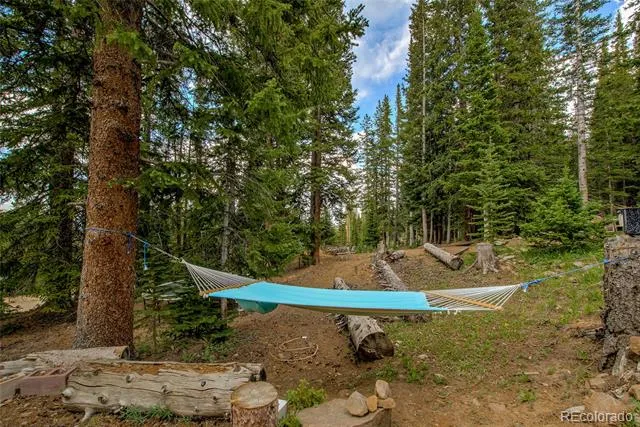 796 Valley Of The Sun Drive Fairplay, CO 80440