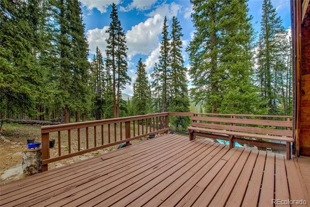 796 Valley Of The Sun Drive Fairplay, CO 80440