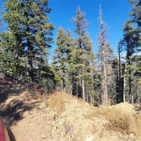 5213 Taylor Road Fort Garland, CO 81133