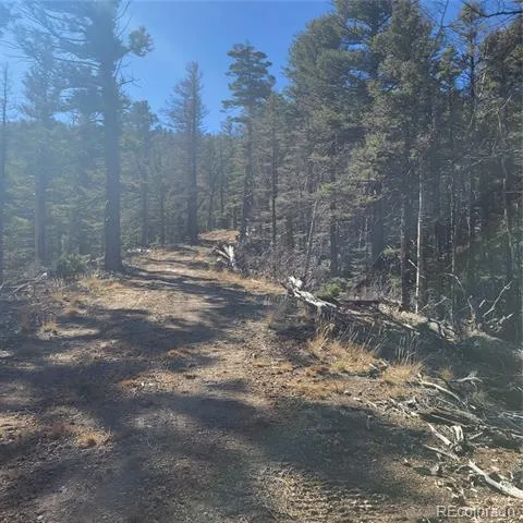 5213 Taylor Road Fort Garland, CO 81133