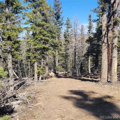5213 Taylor Road Fort Garland, CO 81133