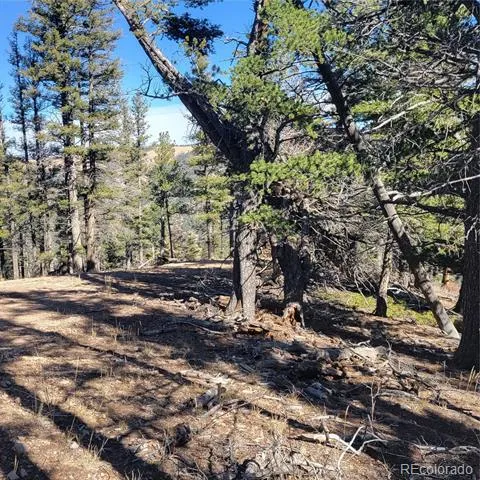 5213 Taylor Road Fort Garland, CO 81133