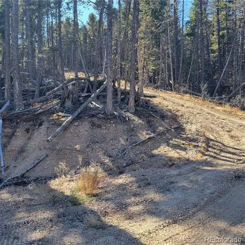 5213 Taylor Road Fort Garland, CO 81133