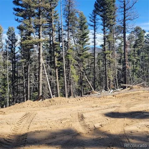 5213 Taylor Road Fort Garland, CO 81133