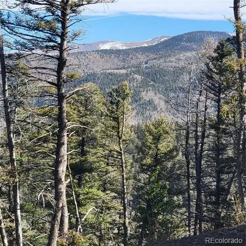 5213 Taylor Road Fort Garland, CO 81133