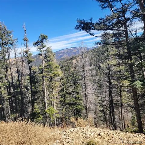 5213 Taylor Road Fort Garland, CO 81133
