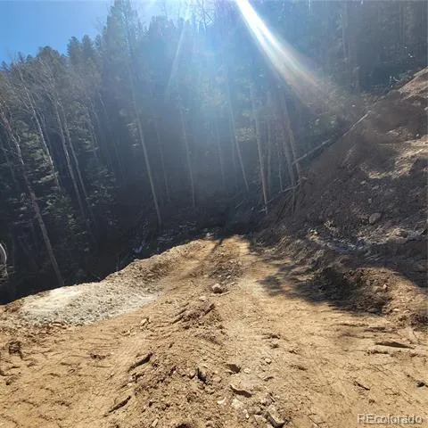 5213 Taylor Road Fort Garland, CO 81133