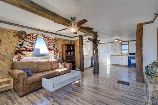 10573 County Road 165 Matheson, CO 80830