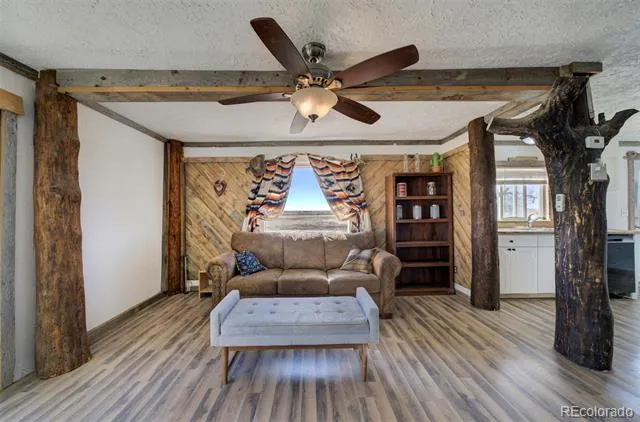 10573 County Road 165 Matheson, CO 80830