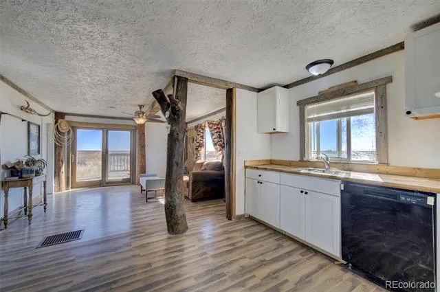10573 County Road 165 Matheson, CO 80830