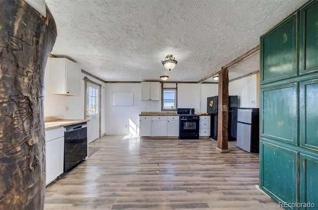 10573 County Road 165 Matheson, CO 80830