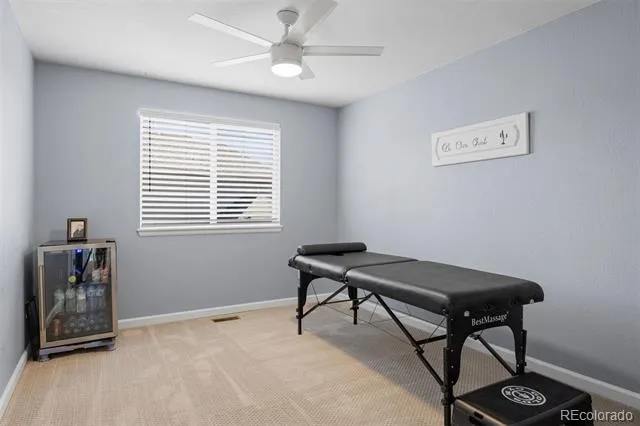 1720 Wild Rye Court Castle Rock, CO 80109