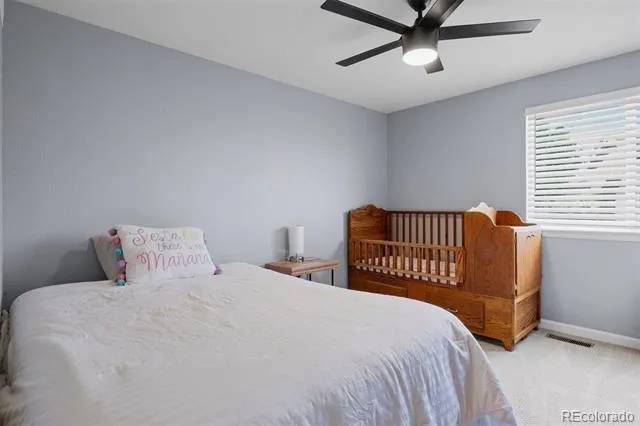 1720 Wild Rye Court Castle Rock, CO 80109