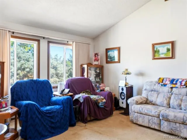 14661 Garfield Street Brighton, CO 80602