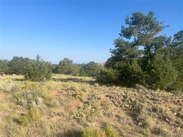 4292 Fallen Tree Overlook Crestone, CO 81131