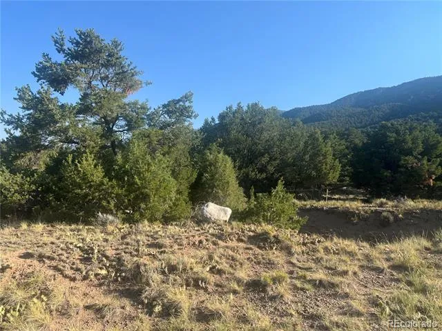 4292 Fallen Tree Overlook Crestone, CO 81131