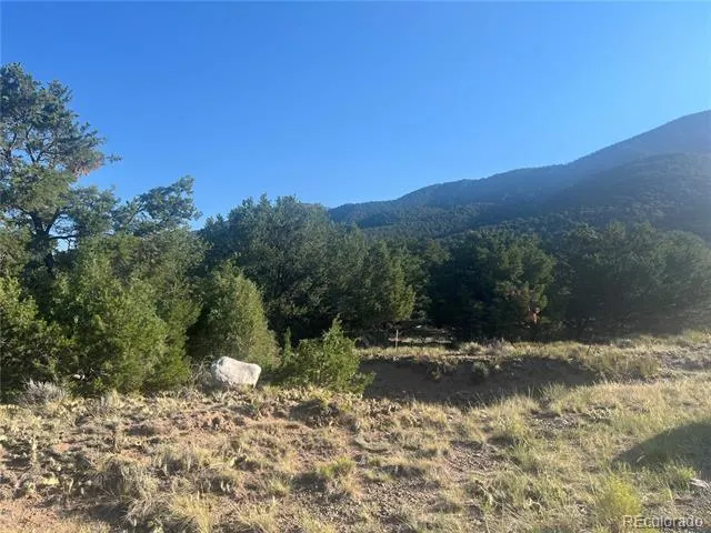 4292 Fallen Tree Overlook Crestone, CO 81131