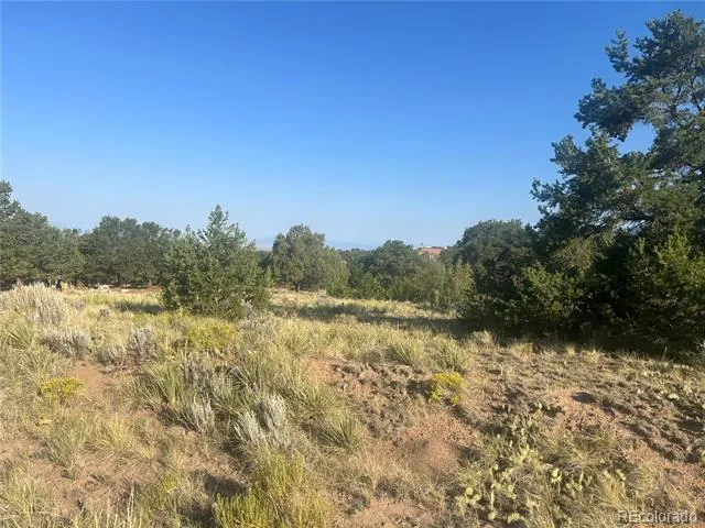 4292 Fallen Tree Overlook Crestone, CO 81131