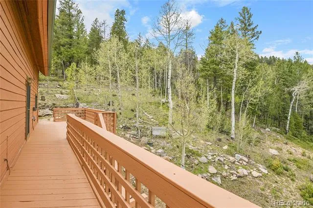 30382 Marys Drive Conifer, CO 80433