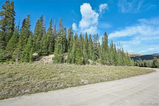 159 Hamilton Lane Breckenridge, CO 80424