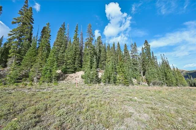 159 Hamilton Lane Breckenridge, CO 80424