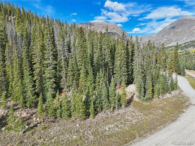 159 Hamilton Lane Breckenridge, CO 80424