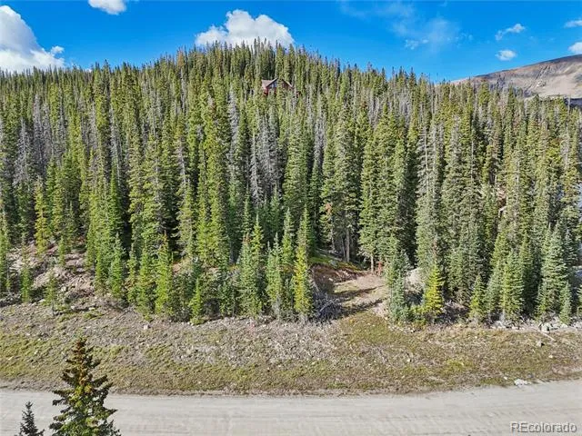 159 Hamilton Lane Breckenridge, CO 80424