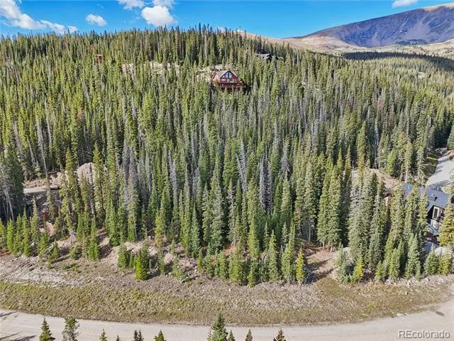 159 Hamilton Lane Breckenridge, CO 80424