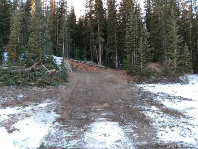 159 Hamilton Lane Breckenridge, CO 80424