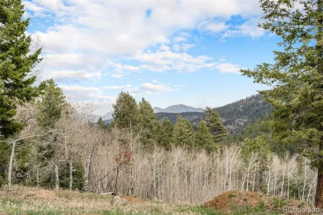 43 W Ranch Trail Morrison, CO 80465