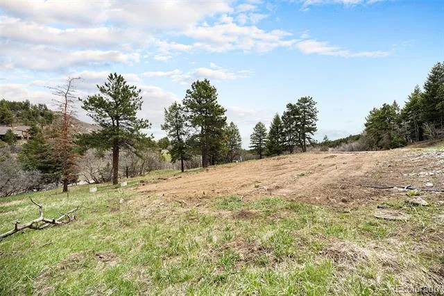 43 W Ranch Trail Morrison, CO 80465