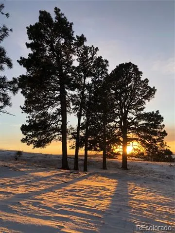 31885 Ridge Road Ramah, CO 80832