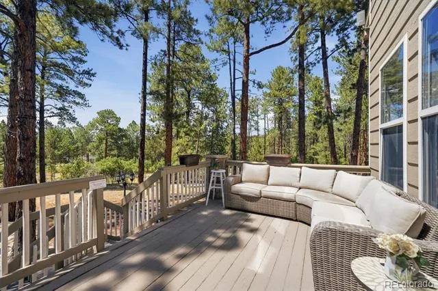 1614 Gore Drive Larkspur, CO 80118