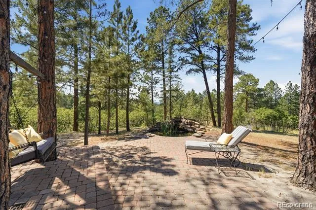 1614 Gore Drive Larkspur, CO 80118