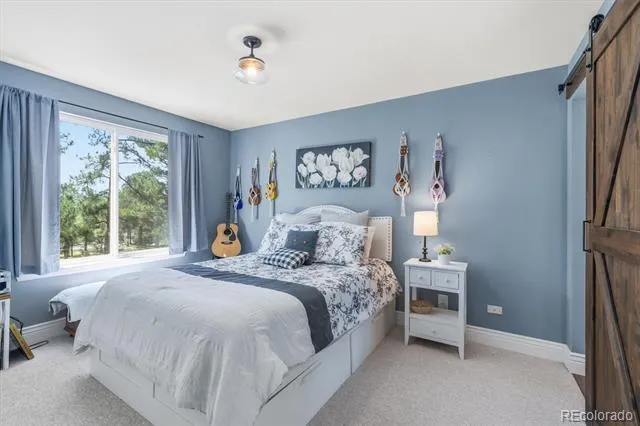 1614 Gore Drive Larkspur, CO 80118