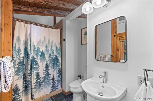 77 Gigi Lane Evergreen, CO 80439