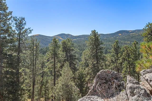 77 Gigi Lane Evergreen, CO 80439
