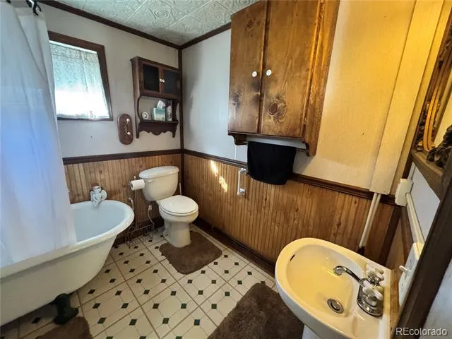 119 Tabor Street Buena Vista, CO 81211