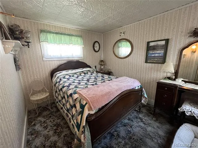 119 Tabor Street Buena Vista, CO 81211