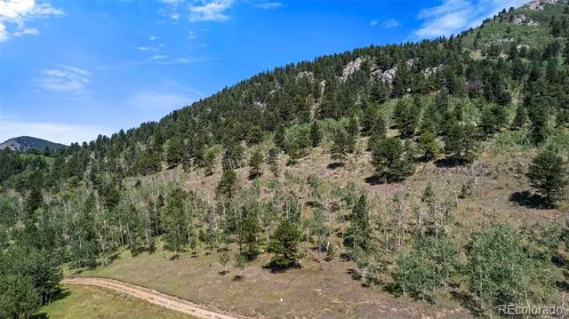 3 Red Tail Ranch Golden, CO 80403